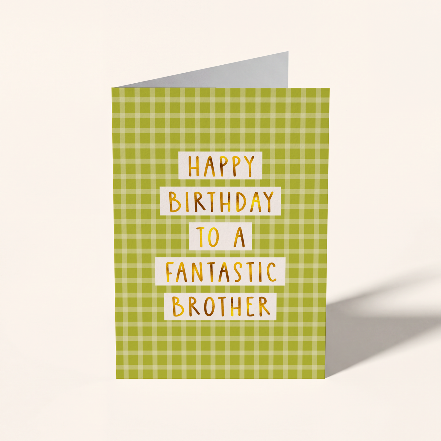 Fantastic Brother Birthday Card
