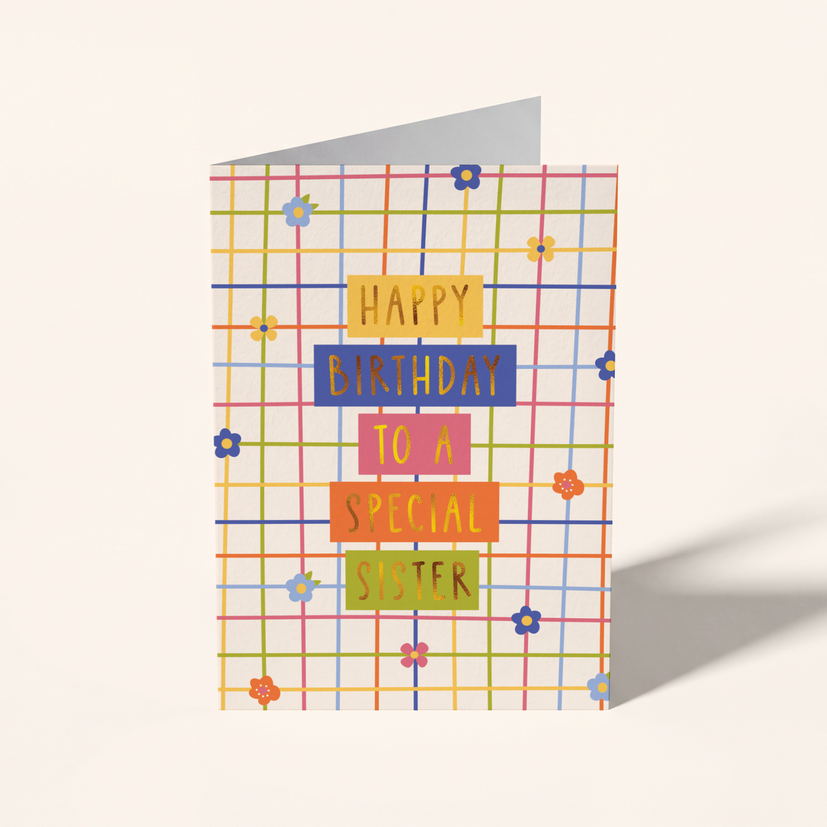 Special Sister Birthday Card