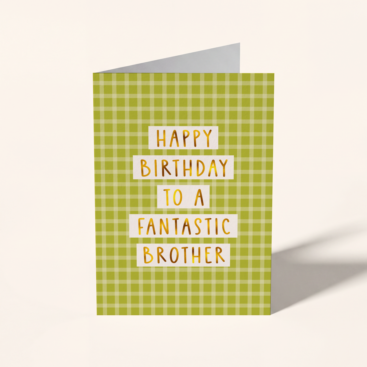 Fantastic Brother Birthday Card