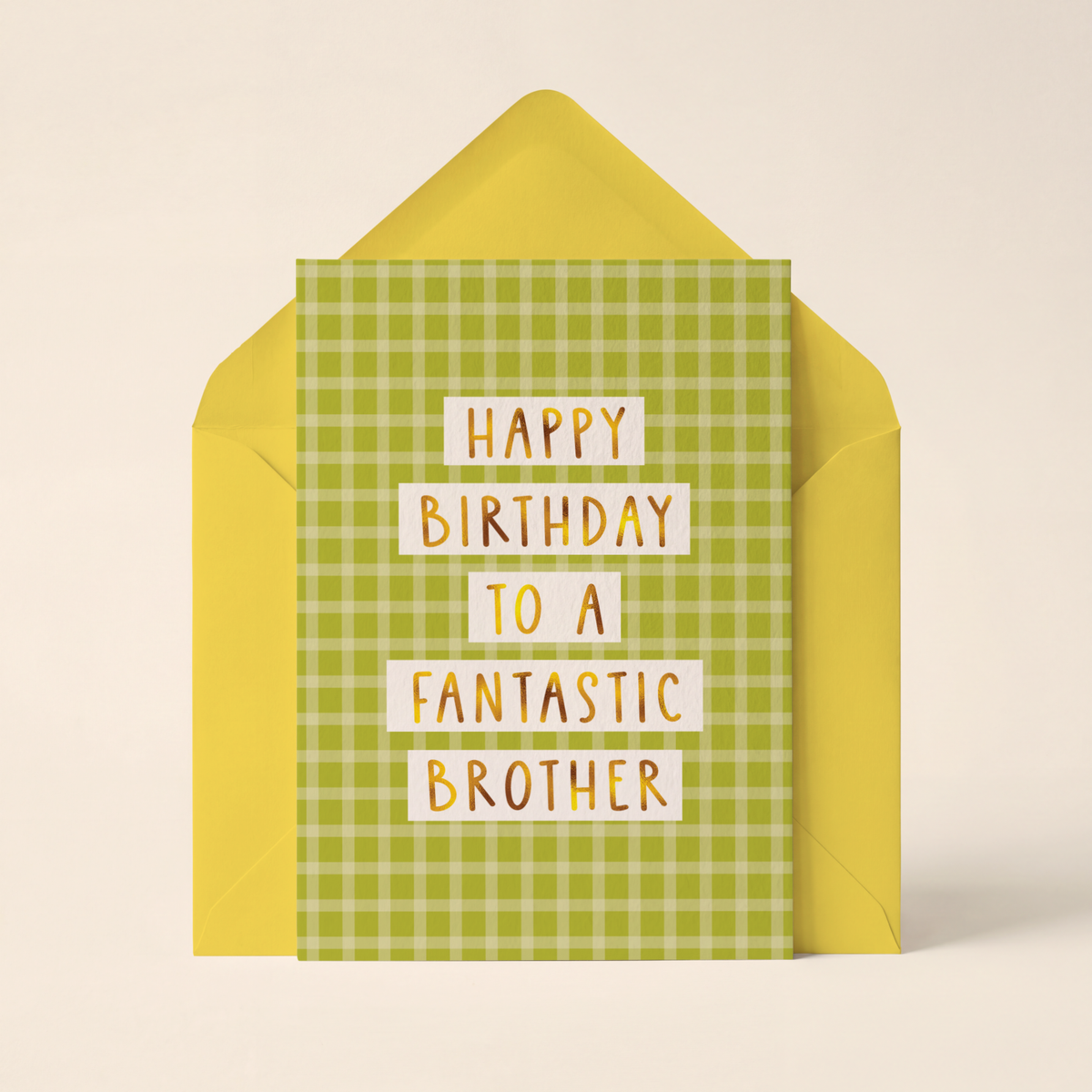 Fantastic Brother Birthday Card