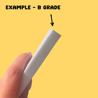 SECONDS Reading Journal ft. Maple the Fox