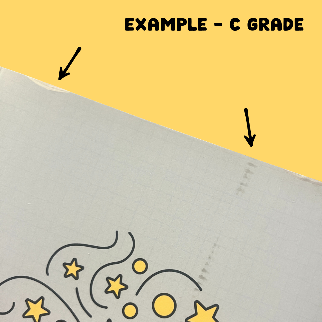 SECONDS Reading Journal ft. Maple the Fox